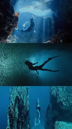 cinematic diving 