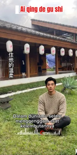 Ai qing de gu shi