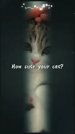 How cute your cat