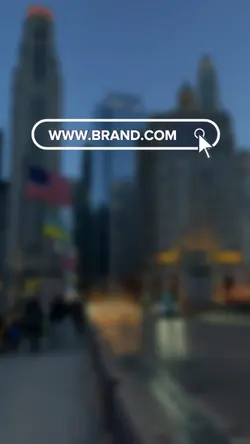 search brand animati