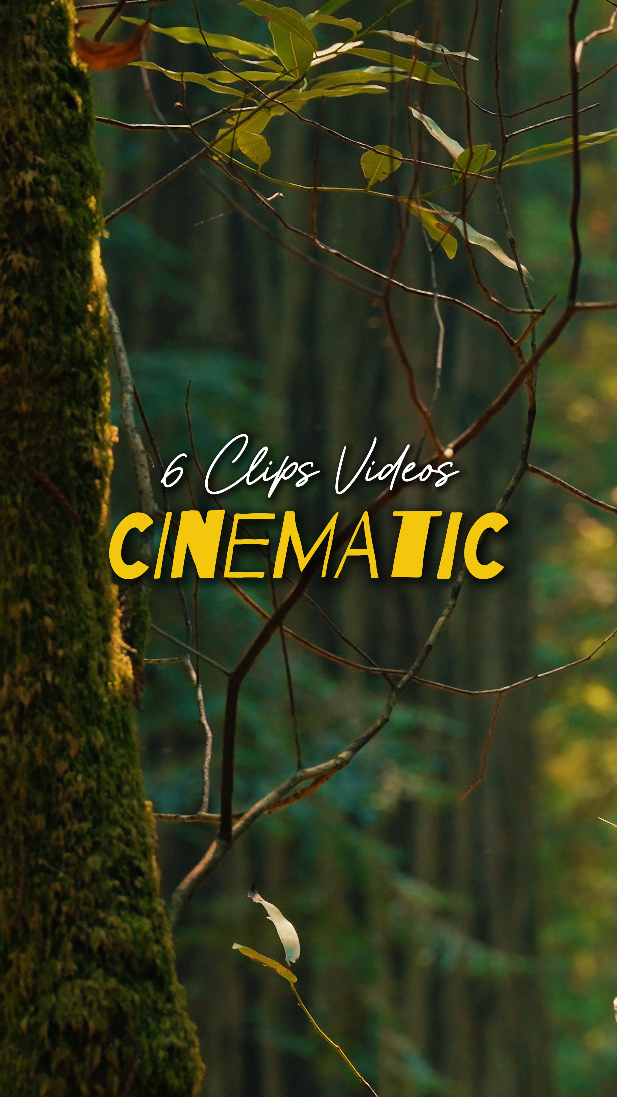 Cinematográfico 5 Vídeos