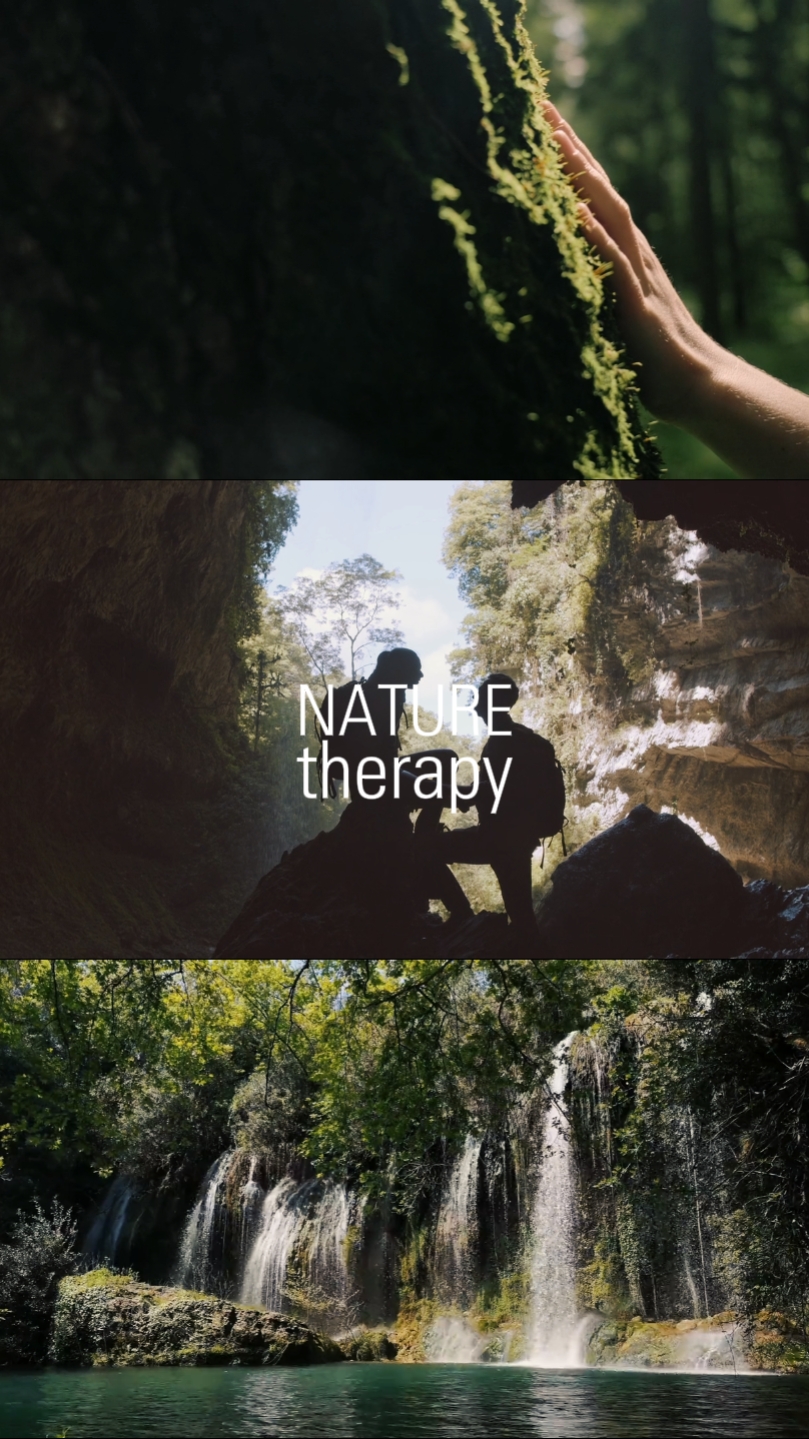 Terapia da Natureza