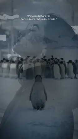 Penguen Bahneydi..