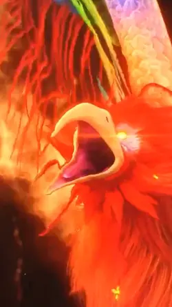 Phoenix transition 6