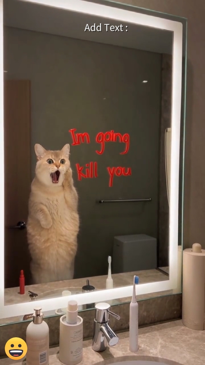 Gato Divertido...