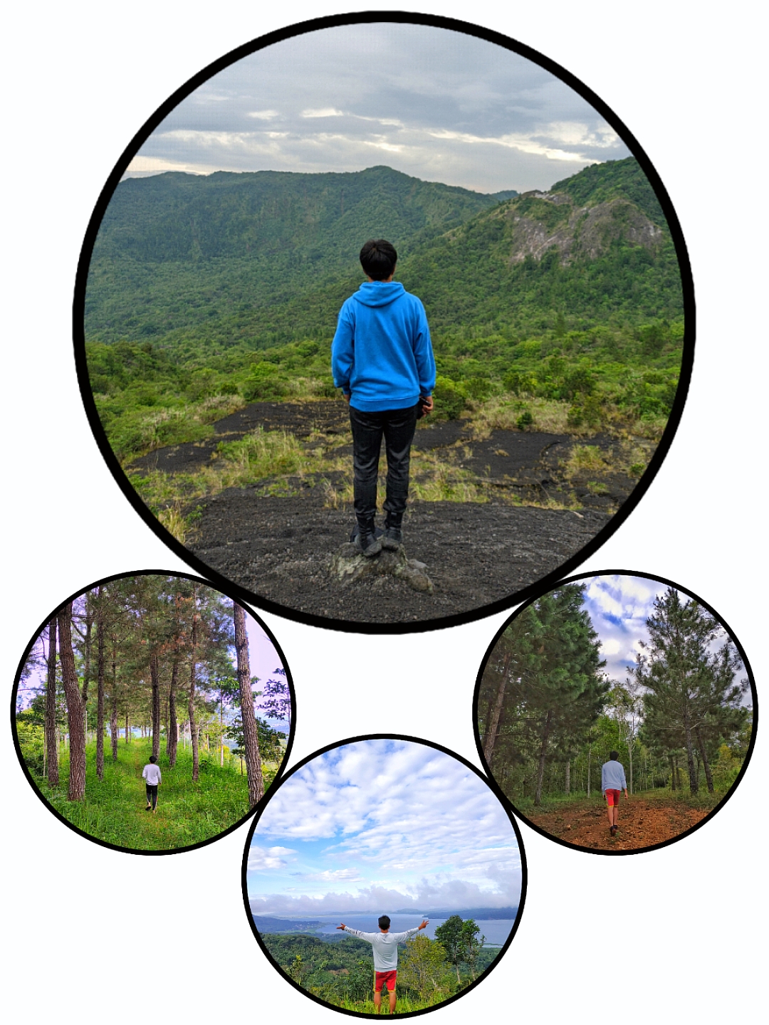 Cover Picture
