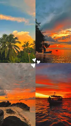 Colagem 4 fotos