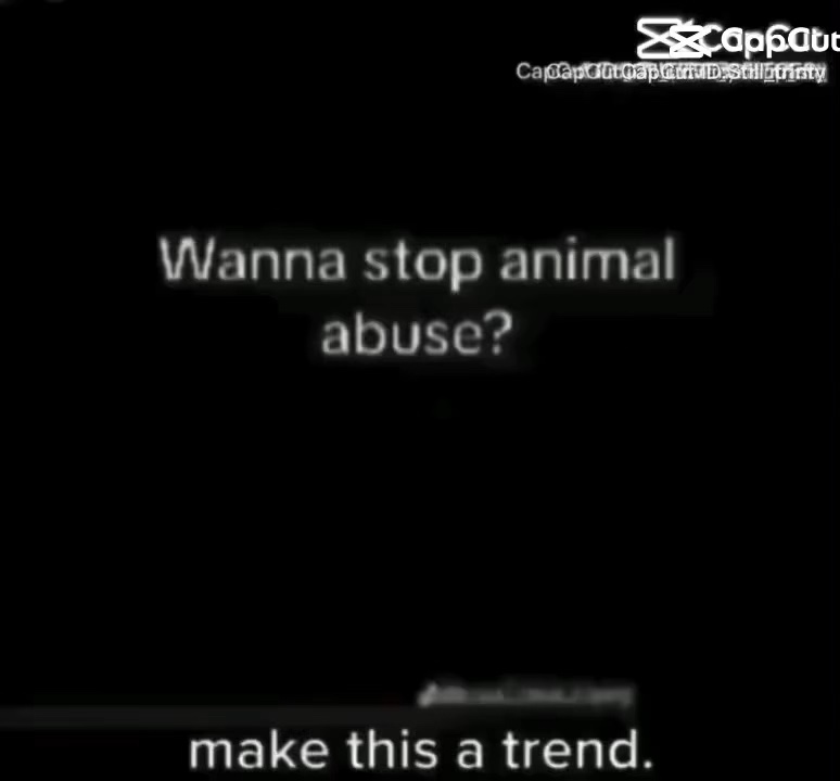 Stop animal abus