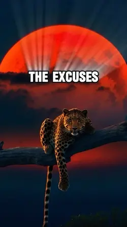 The excuses