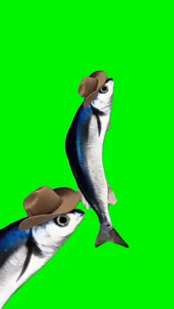 SPINNING FISH
