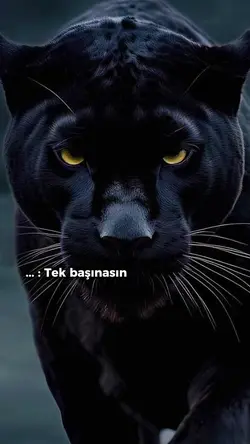 asalet önemli