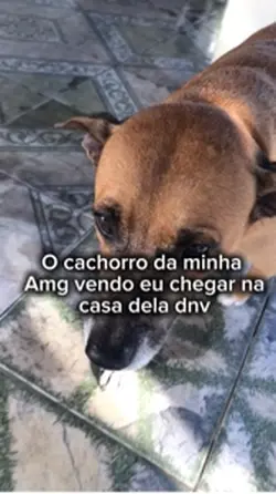 Não acredito🙄