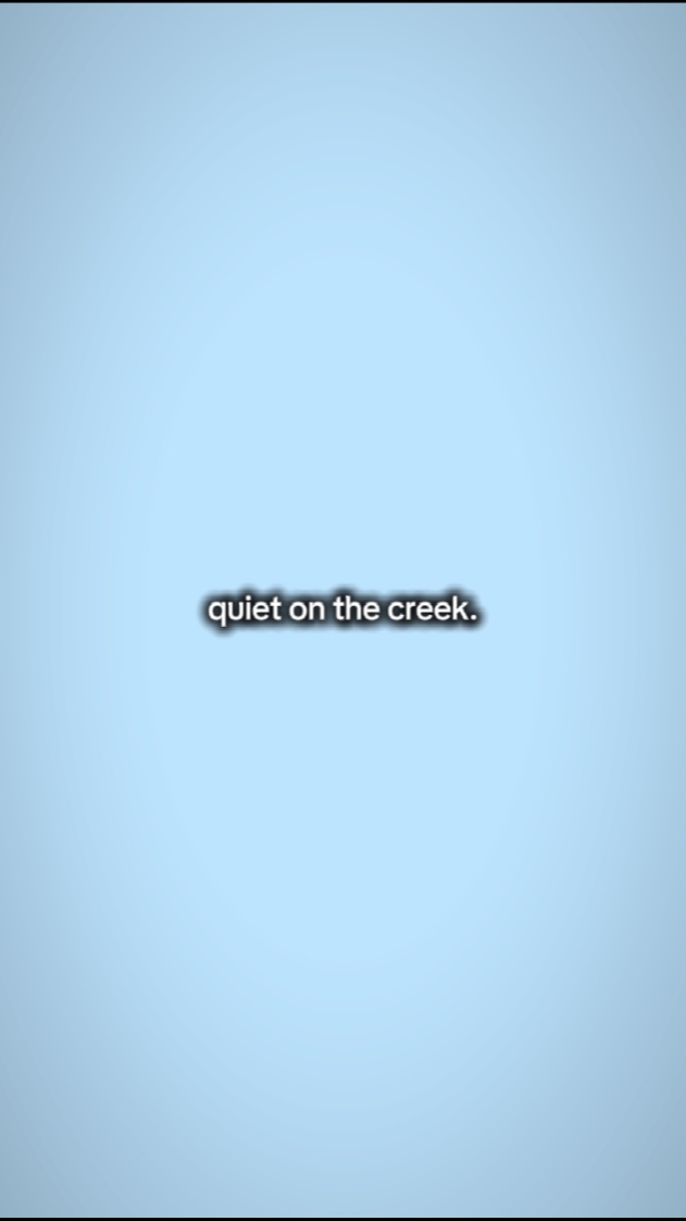 quiet on the creek