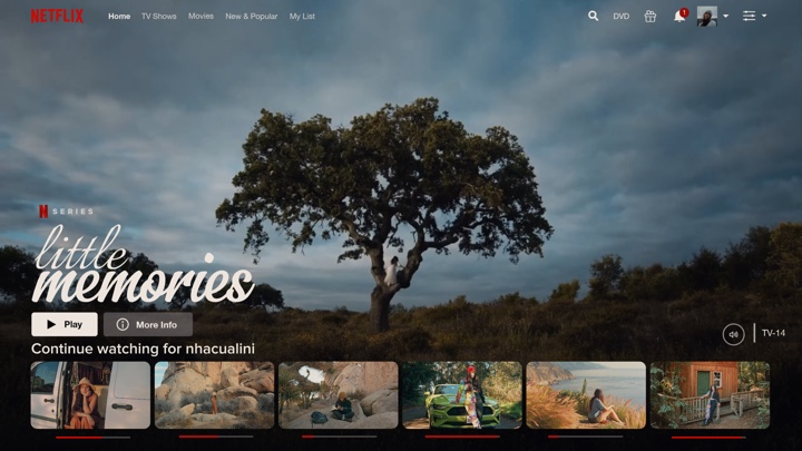 Template Netflix baru