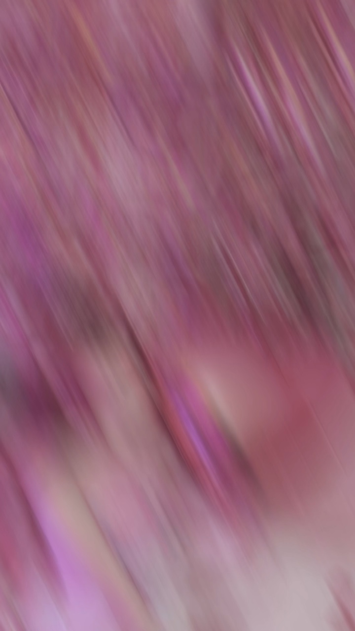 まじで可愛い子