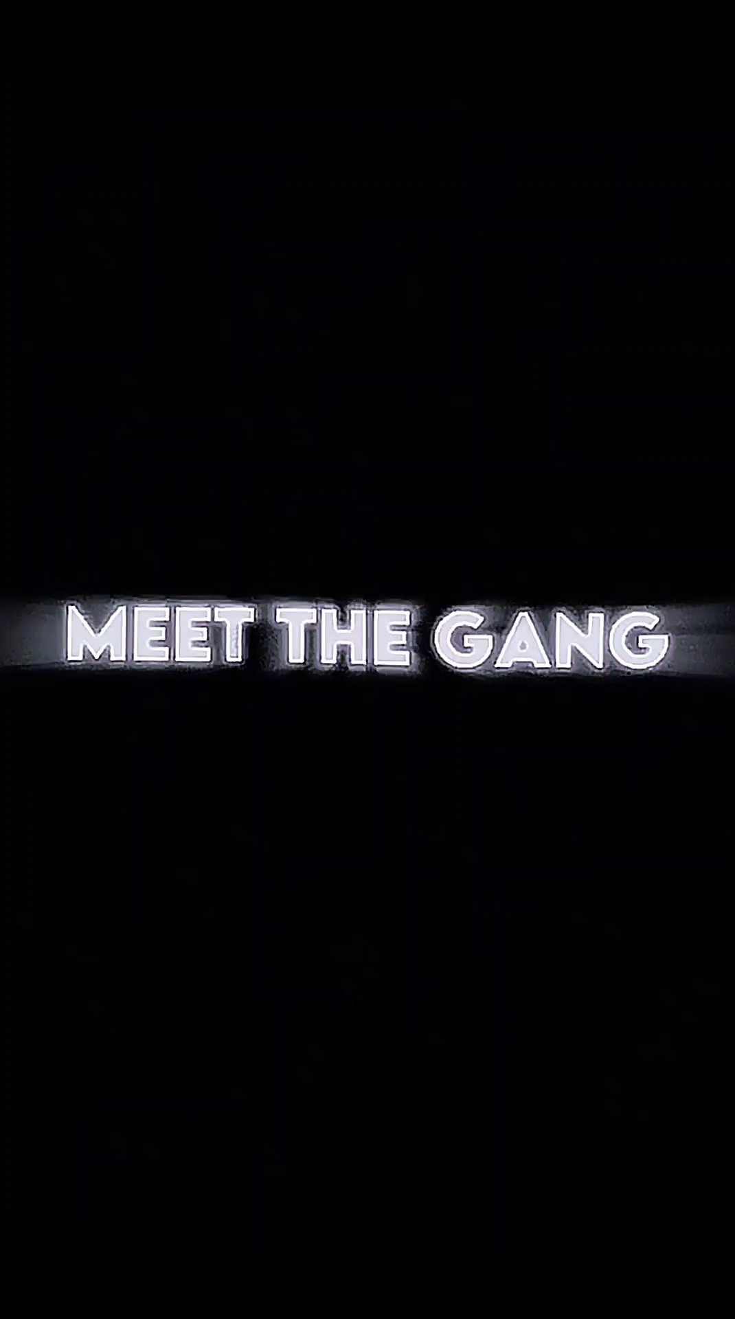 meet the gang