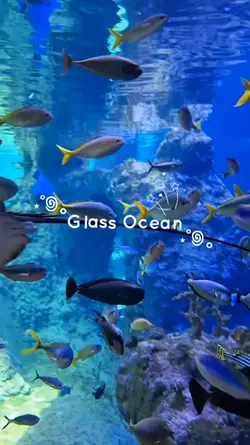 aquarium vlog
