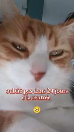 la rentrée 