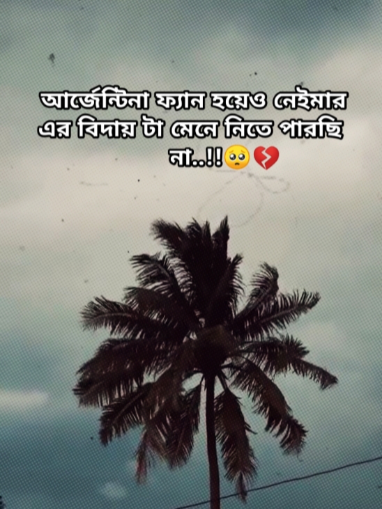 আর্জেন্টিনা ফ্যান হয