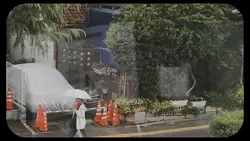 雨