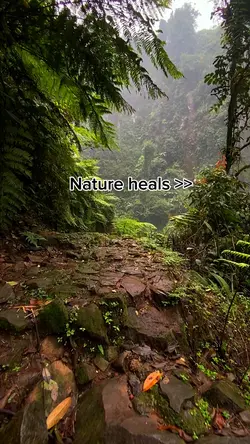 Nature heals >>