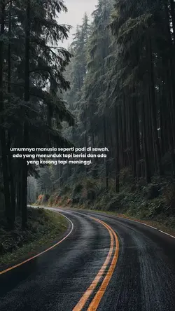 story wa