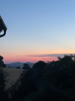‎