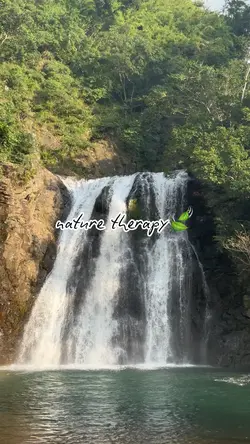 nature therapy