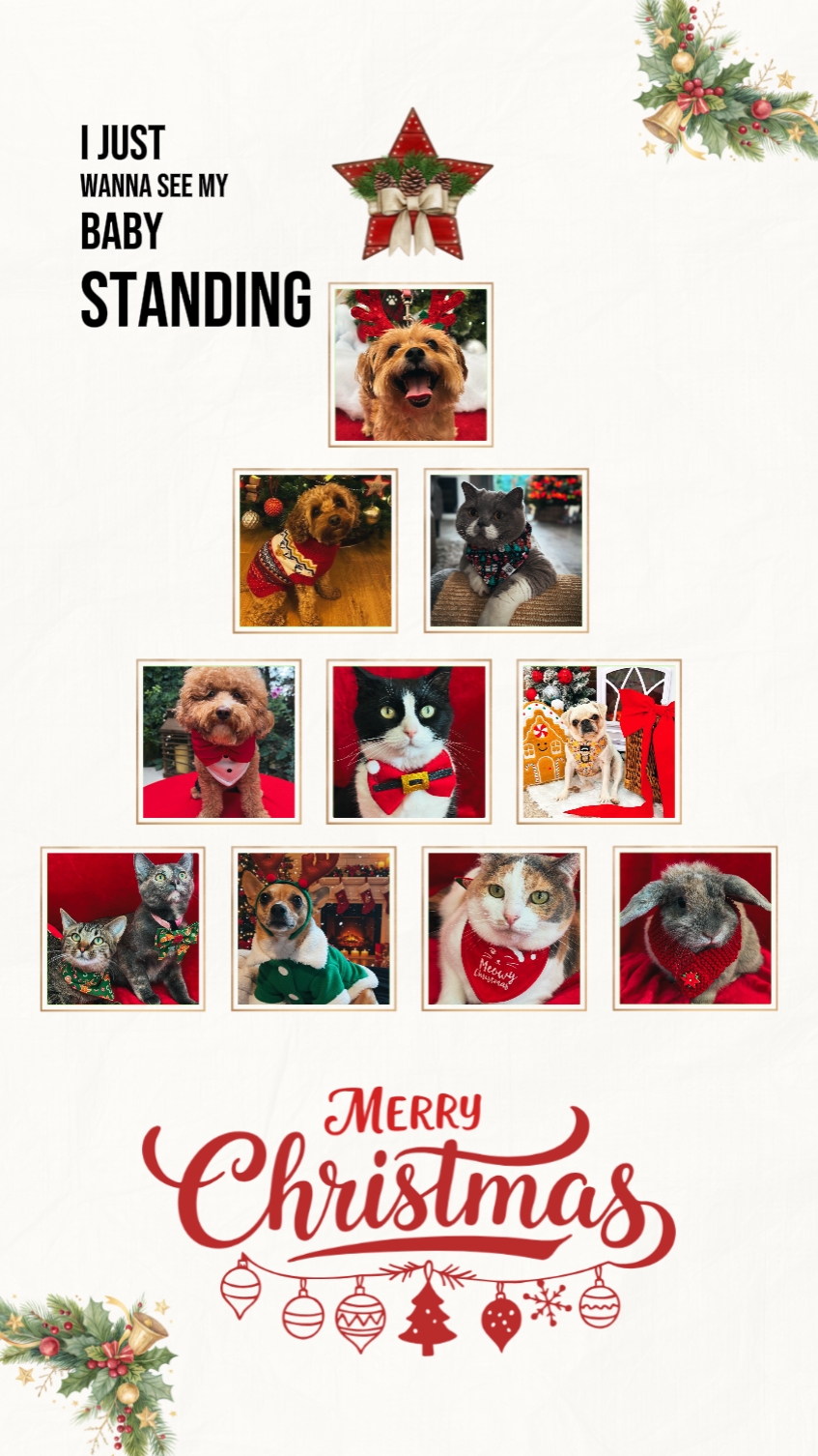 Árvore de Natal