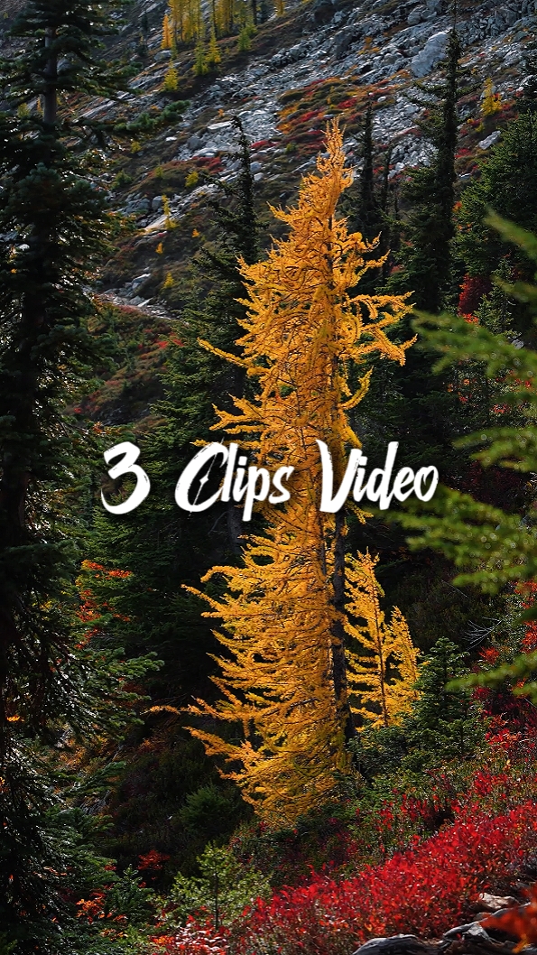 3 Clips de Video