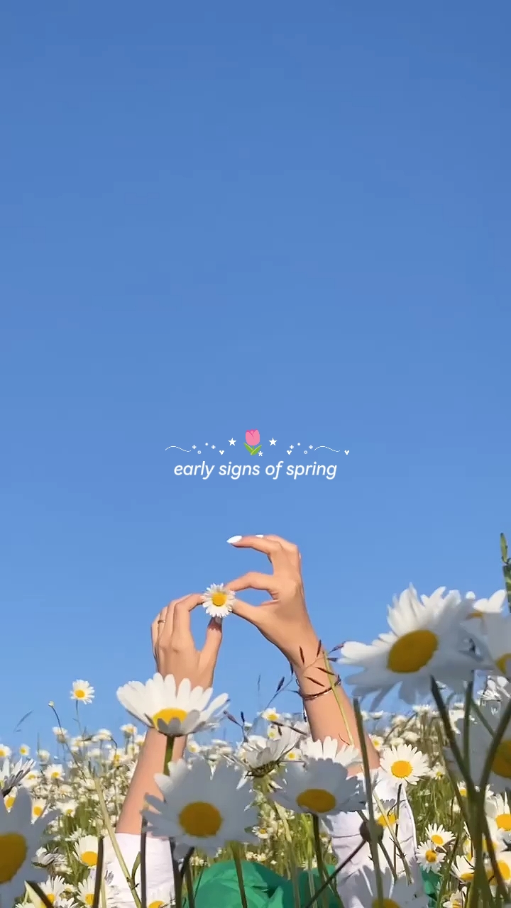 Frühe Anzeichen von Sprin