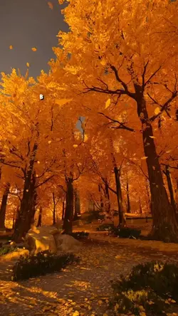 Bienvenido Octubre 