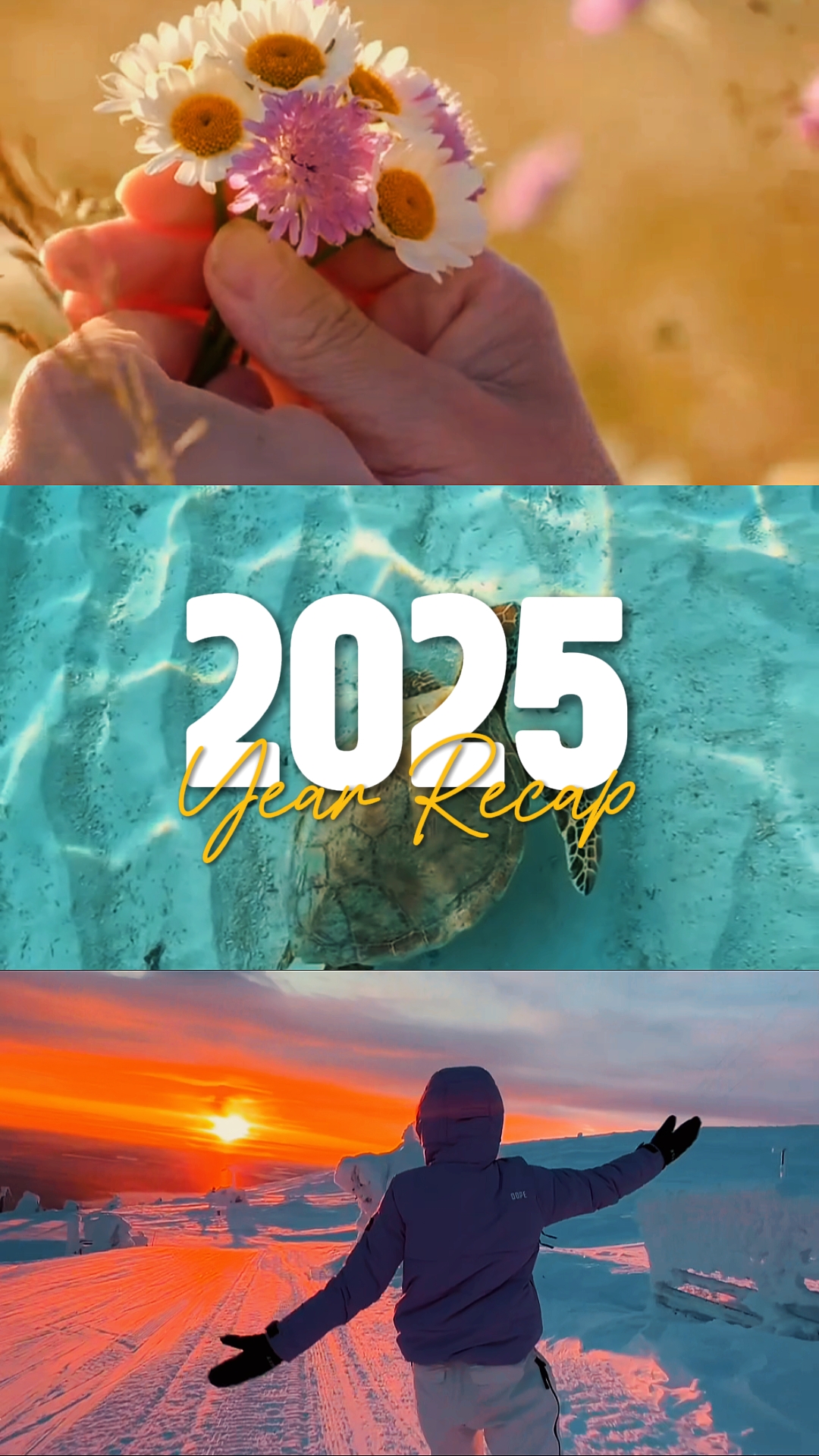 Resumen del año 2025 