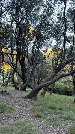from shire to mordor