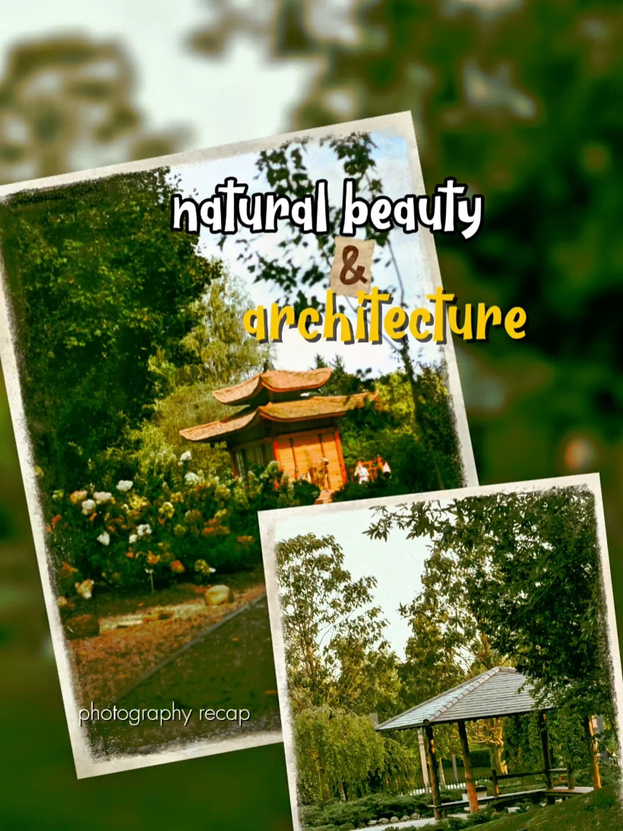 photography recap 