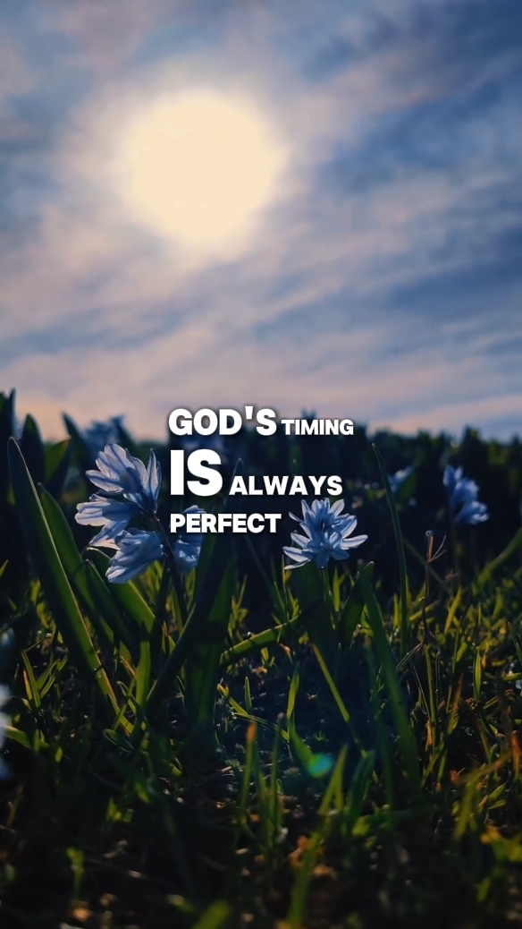 Pengkhotbah 3: 11