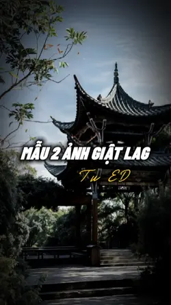 Mẫu lỗi mạng