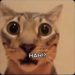 malay meme