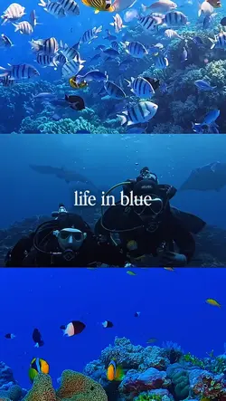 life in blue