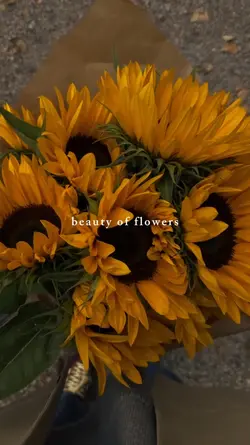 beauty of flowers