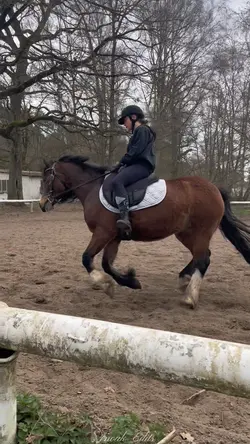 Horse riding 
