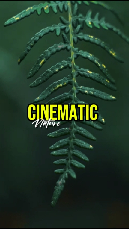 cinematic nature 