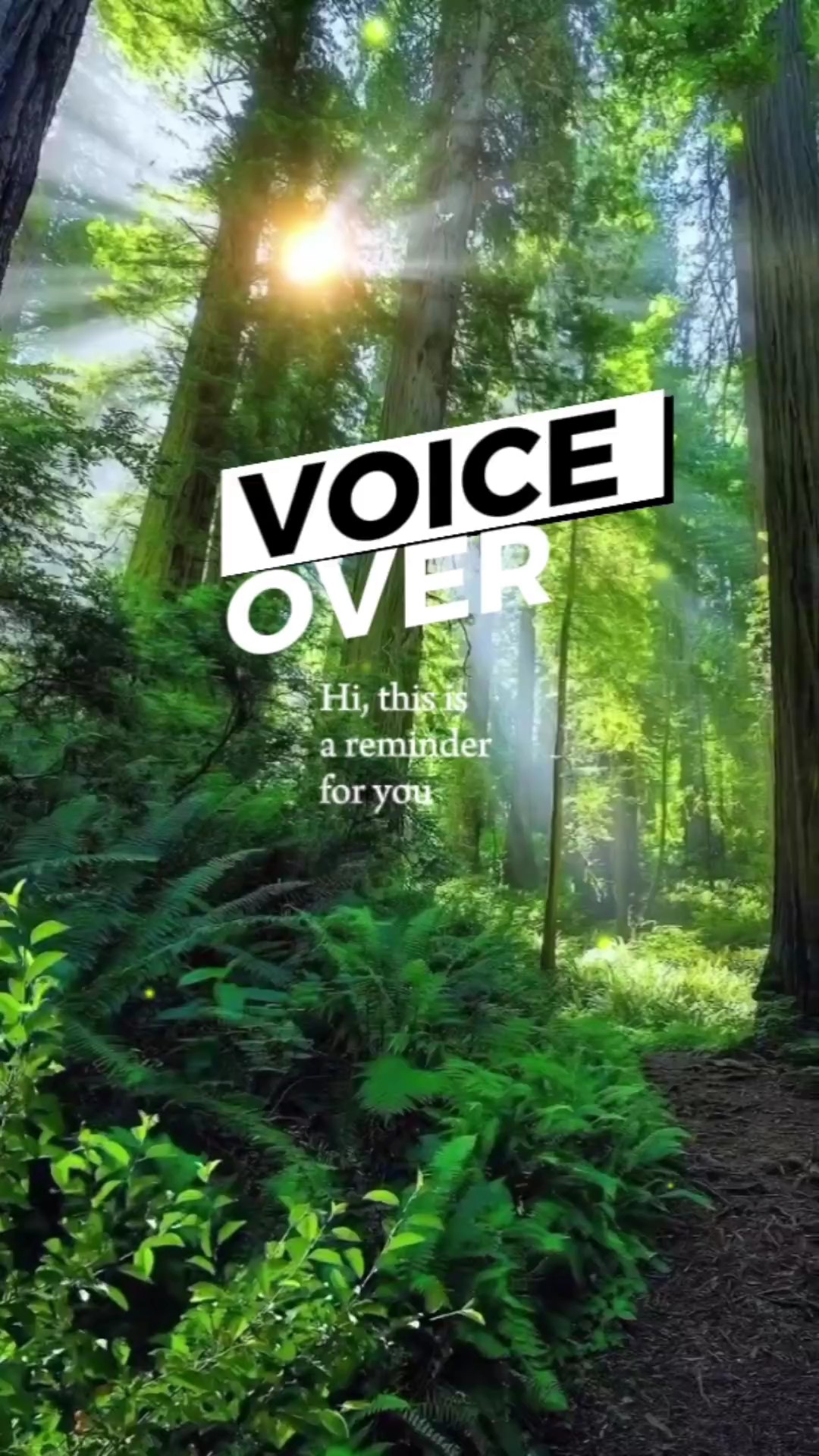 Voix off