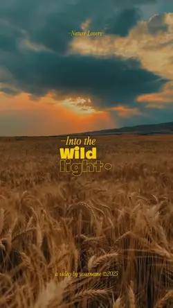 Into the wildlight