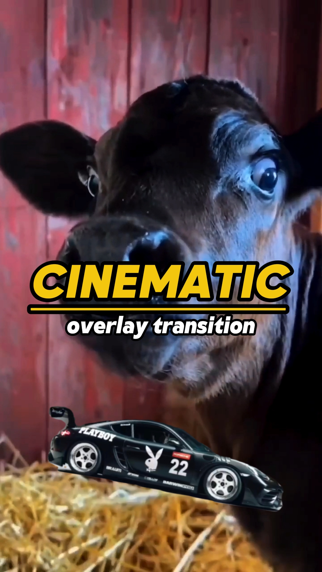 Cinematic Trend