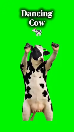 Dancing Cow Meme