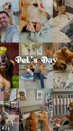 Pet's Day