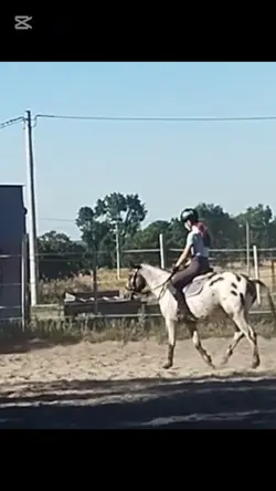 Mój pierwszy szablon