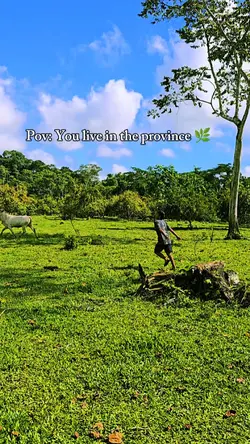 Province life