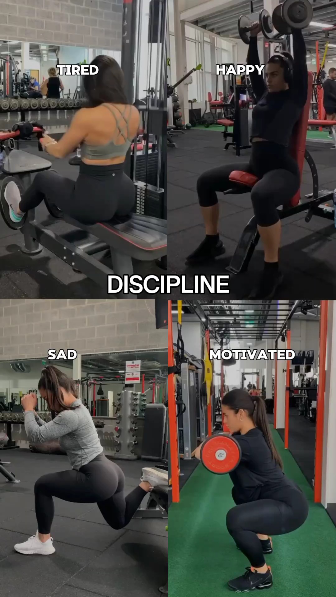 DISCIPLINE